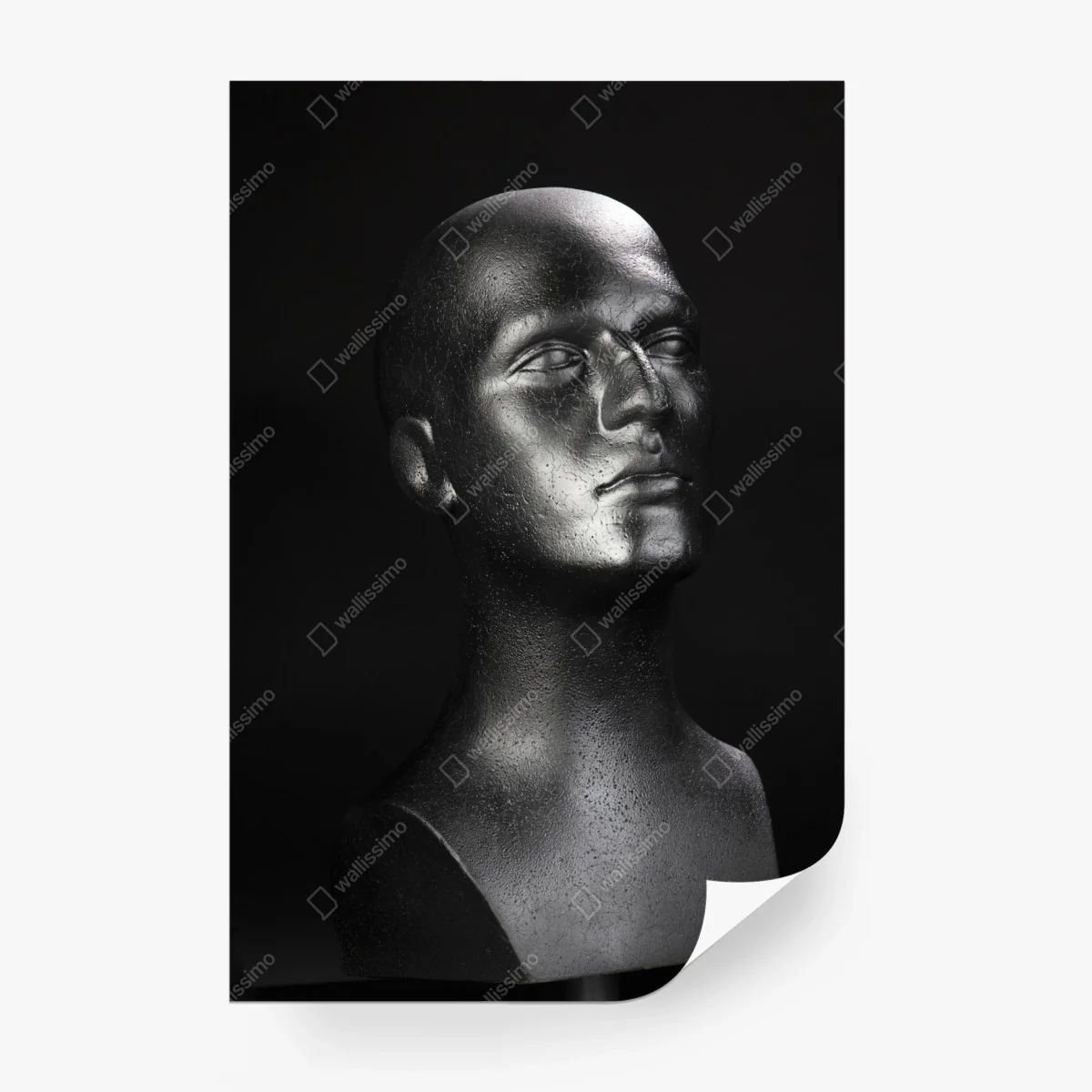 Fotomural busto metálico en alto contraste – Pixers® Fotomural busto metálico en alto contraste – Pixers®