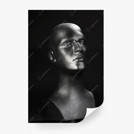 Fotomural busto metálico en alto contraste – Pixers®