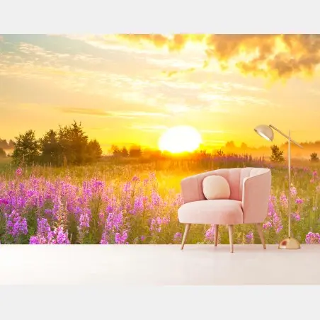 Fotomural amanecer en pradera florecida – Pixers®