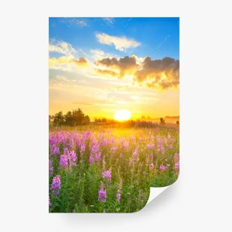 Fotomural amanecer en pradera florecida – Pixers®