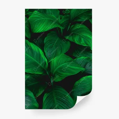 Fotomural follaje tropical en tonos verdes intensos – Pixers®