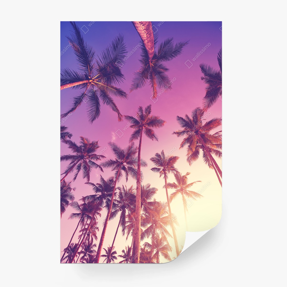 Fotomural paraíso de palmeras al atardecer – Pixers®