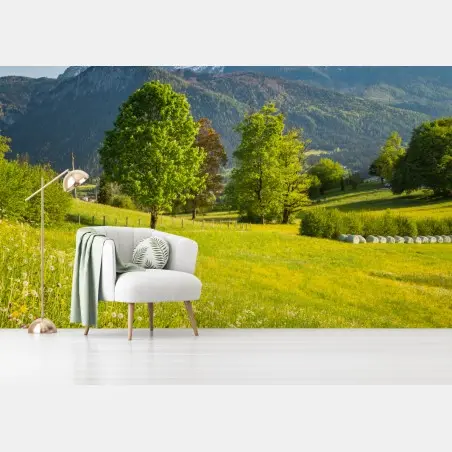 Fotomural pradera alpina en primavera – Pixers®