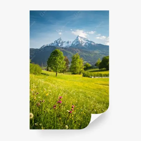 Fotomural pradera alpina en primavera – Pixers®