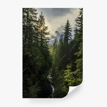 Fotomural panorámica de bosque y cascada al amanecer – Pixers®