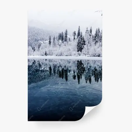 Fotomural serenidad invernal: bosque nevado reflejado – Pixers®