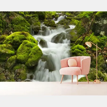 Fotomural oasis de agua en Slovenský Raj – Pixers®