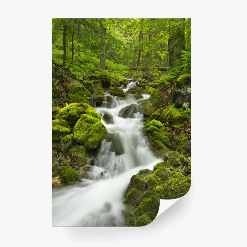 Fotomural oasis de agua en Slovenský Raj