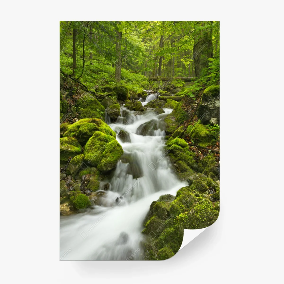 Fotomural oasis de agua en Slovenský Raj – Pixers® Fotomural oasis de agua en Slovenský Raj – Pixers®