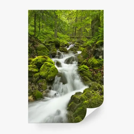 Fotomural oasis de agua en Slovenský Raj – Pixers®