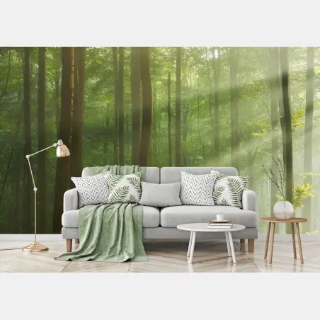 Fotomural amanecer otoñal en bosque antiguo – Pixers®