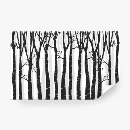 Fotomural bosque de abedules en blanco y negro – Pixers®
