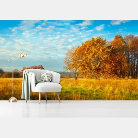 Fotomural amanecer otoñal en la pradera – Pixers®