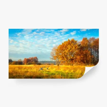Fotomural amanecer otoñal en la pradera – Pixers®