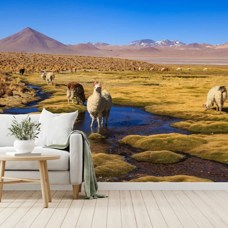 Fotomural llamas en el altiplano de los Andes