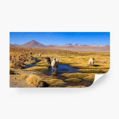 Fotomural llamas en el altiplano de los Andes – Pixers®
