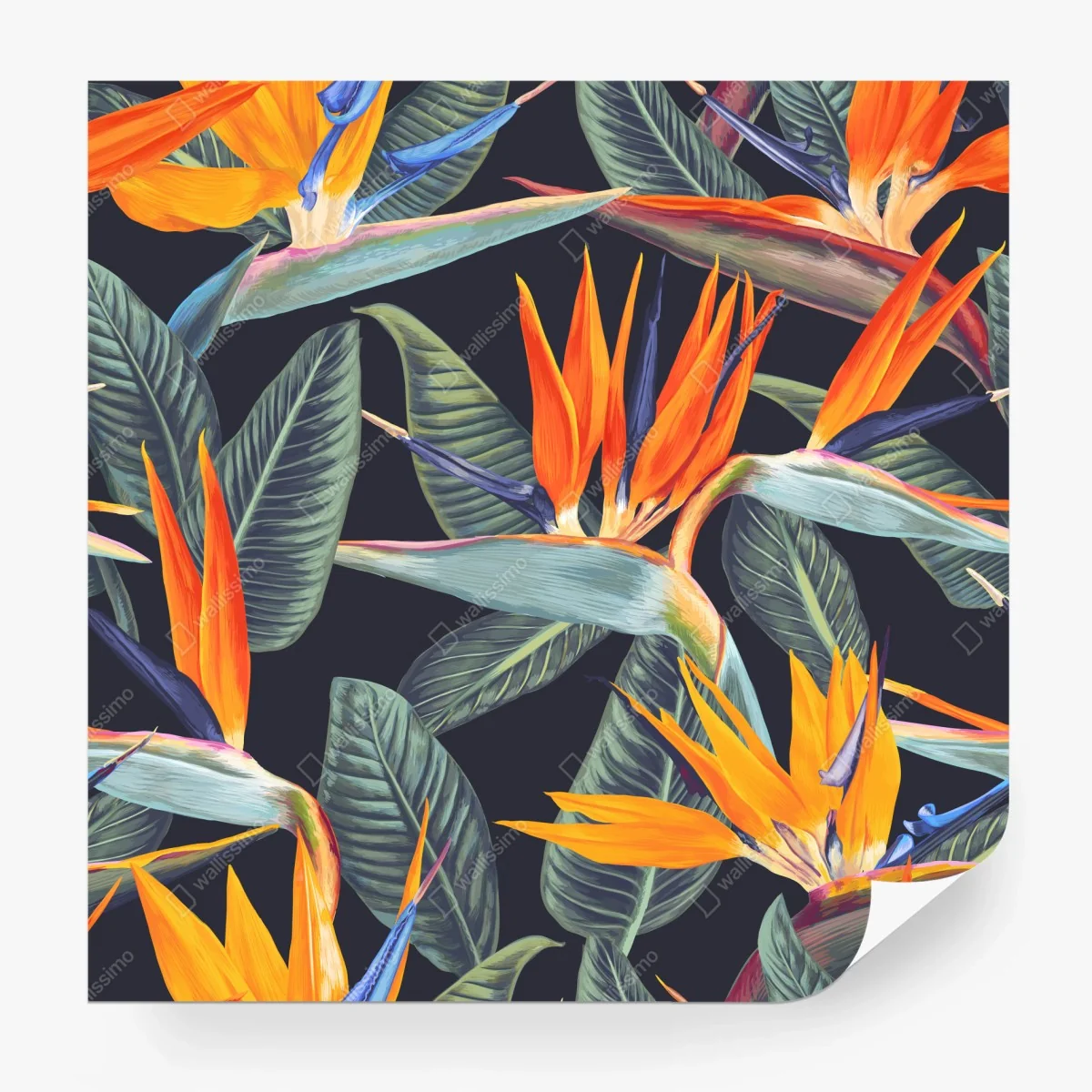 Fotomural diseño tropical de ave del paraíso en tonos vibrantes – Pixers® Fotomural diseño tropical de ave del paraíso en tonos vibrantes – Pixers®