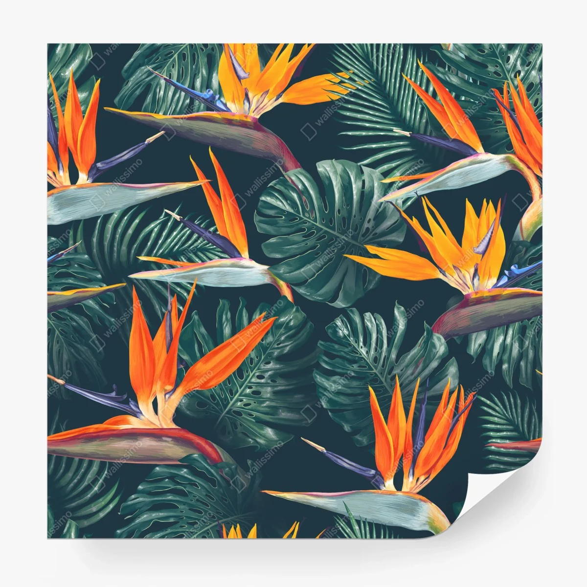 Fotomural arte botánico tropical con aves del paraíso – Pixers®