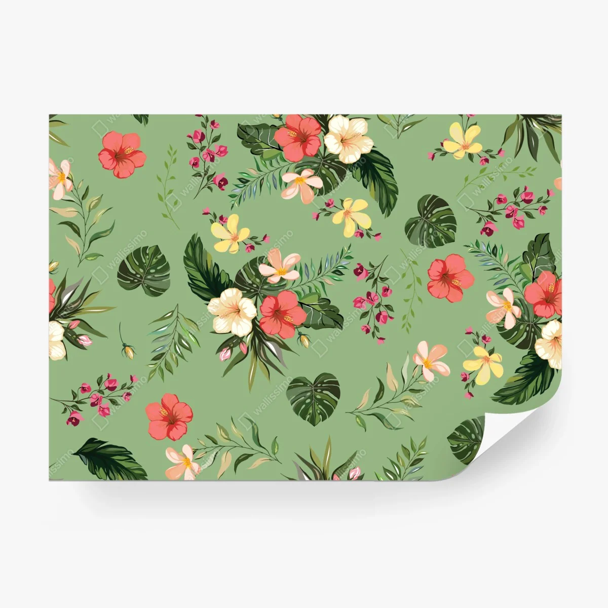 Fotomural diseño tropical de flores y hojas sobre fondo verde – Pixers® Fotomural diseño tropical de flores y hojas sobre fondo verde – Pixers®