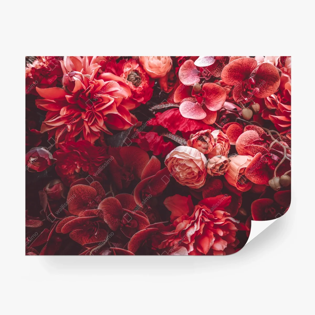 Fotomural composición floral en tonos rojos – Pixers®