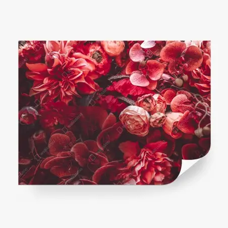 Fotomural composición floral en tonos rojos – Pixers®