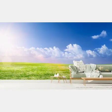 Fotomural pradera primaveral bajo cielo azul – Pixers®
