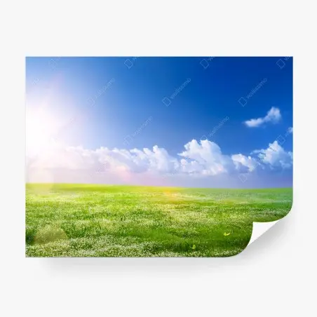Fotomural pradera primaveral bajo cielo azul – Pixers®