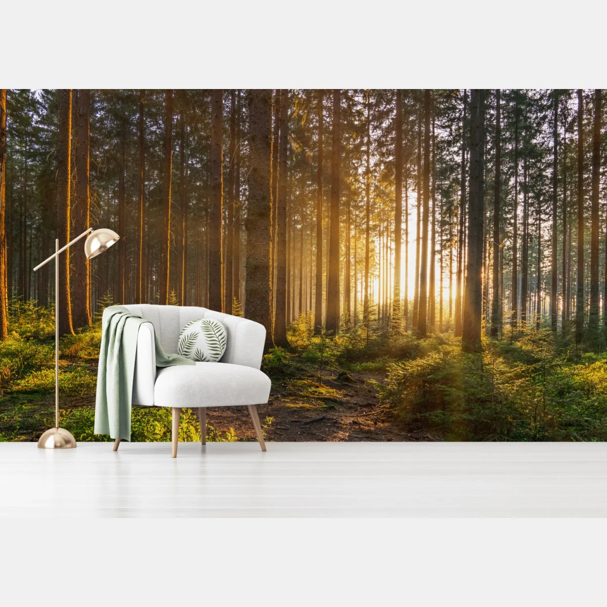 Fotomural amanecer dorado en el bosque – Pixers® Fotomural amanecer dorado en el bosque – Pixers®