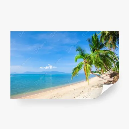 Fotomural playa tropical con palmeras y mar turquesa – Pixers®