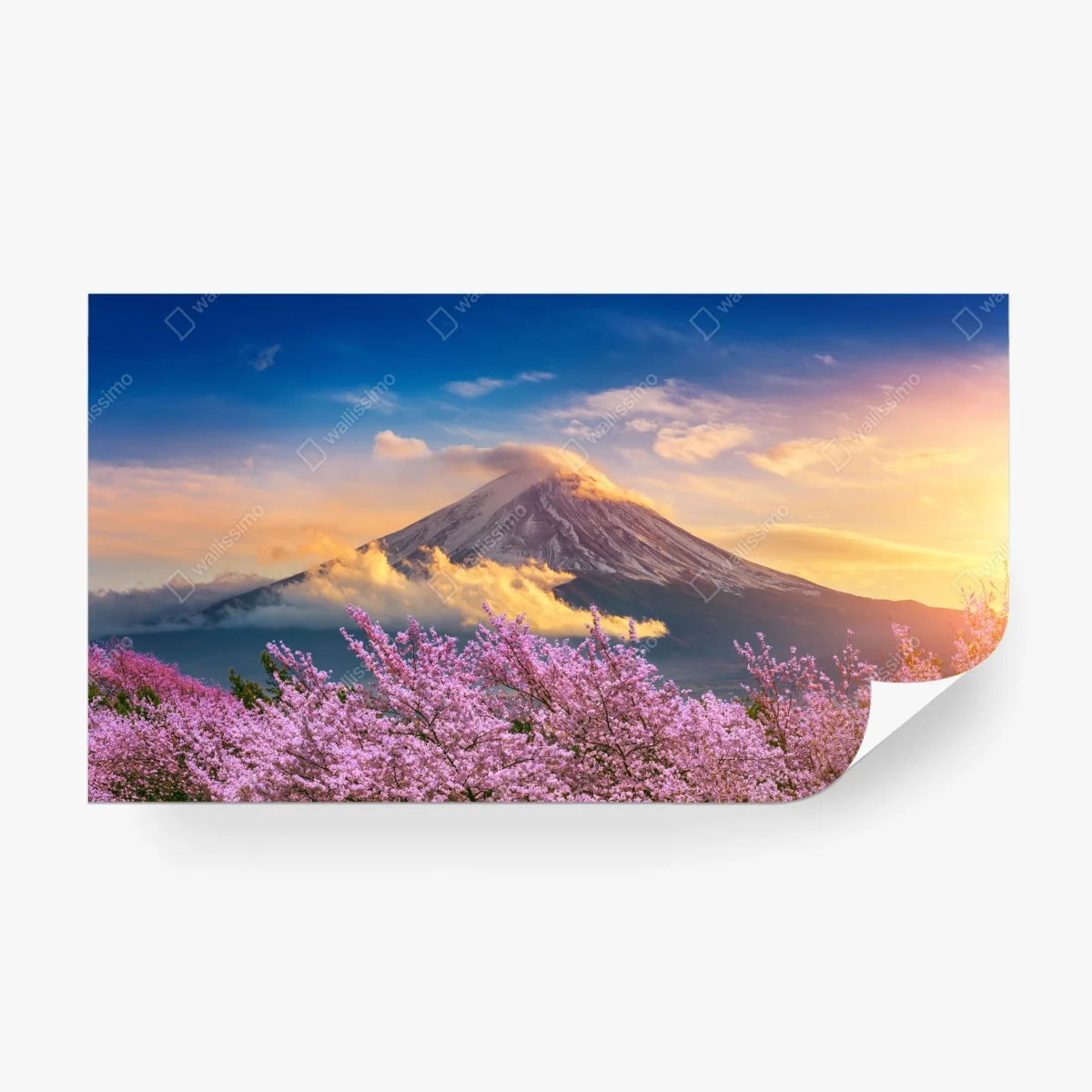 Fotomural amanecer en Monte Fuji con cerezos en flor – Pixers®