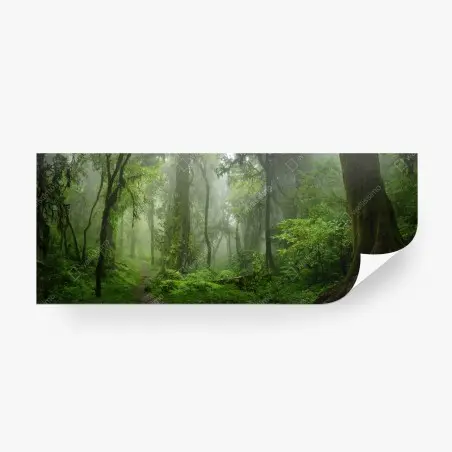 Fotomural misterios de la selva del Sudeste Asiático – Pixers®