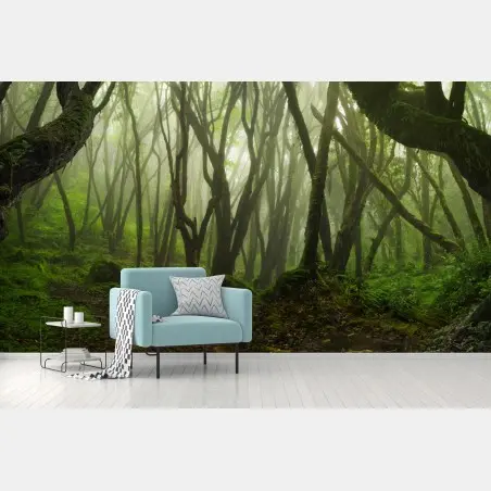 Fotomural bosque encantado entre la niebla – Pixers®