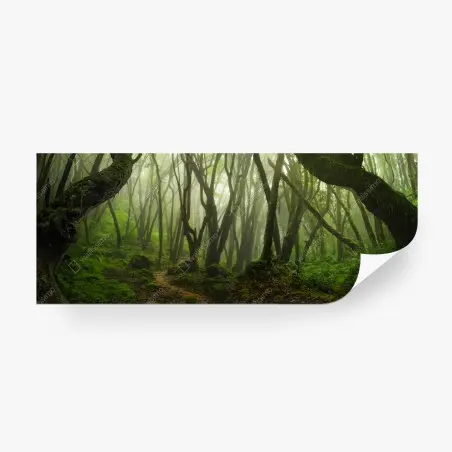 Fotomural bosque encantado entre la niebla – Pixers®