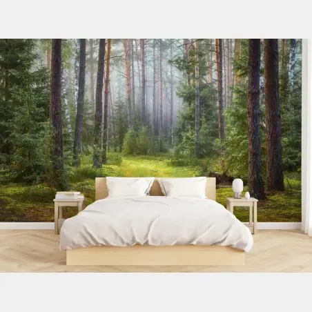 Fotomural sendero en bosque de pinos y musgo – Pixers®