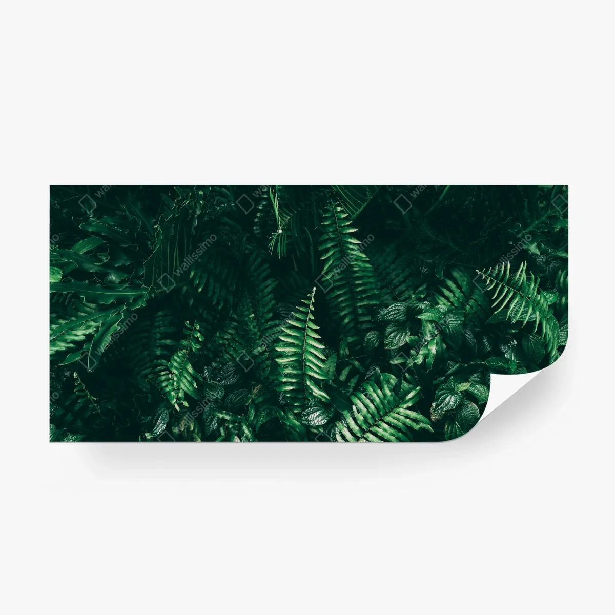 Fotomural jardín vertical de hojas tropicales en tono oscuro – Pixers® Fotomural jardín vertical de hojas tropicales en tono oscuro – Pixers®