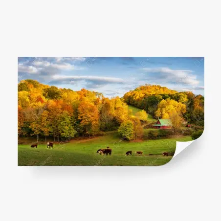 Fotomural paisaje otoñal en la granja – Pixers®