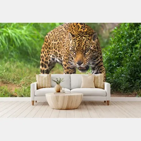 Fotomural jaguar acechando en la selva – Pixers®