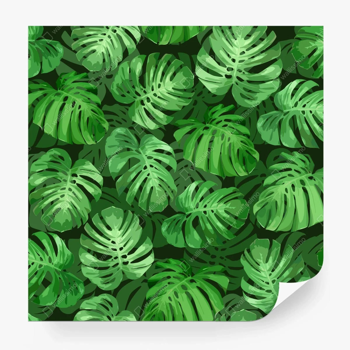 Fotomural patrón tropical de hojas de monstera – Pixers® Fotomural patrón tropical de hojas de monstera – Pixers®
