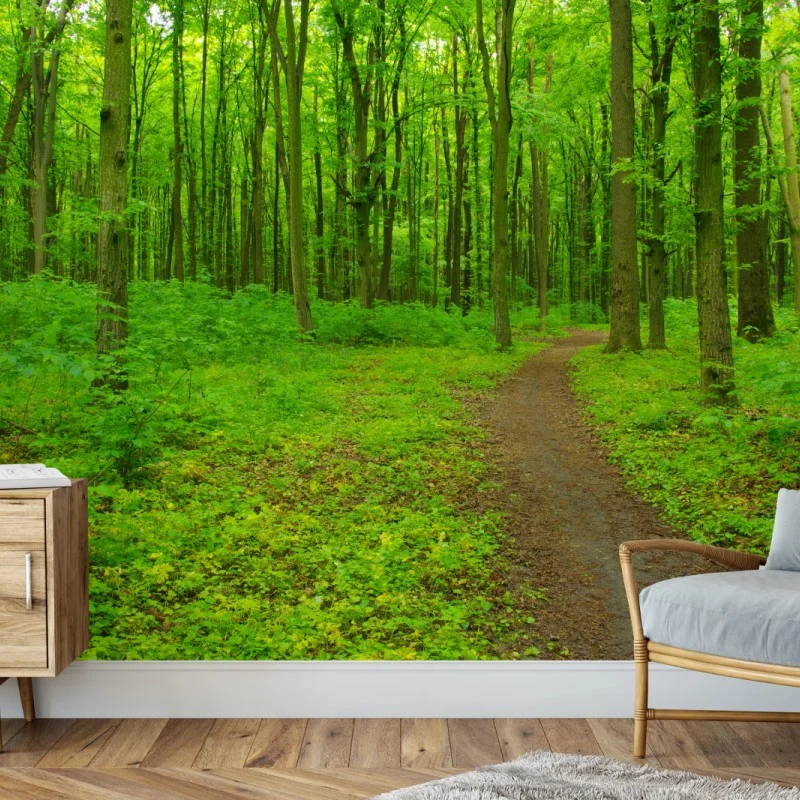 Fotomural sendero en bosque verde