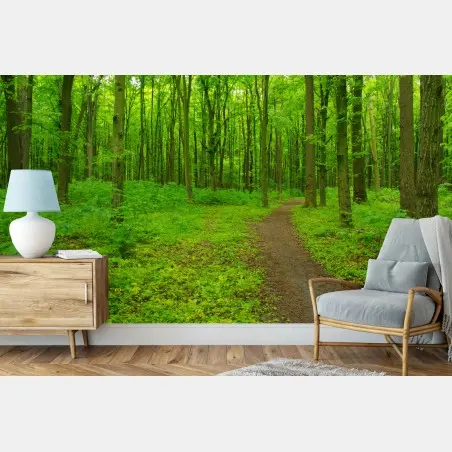 Fotomural sendero en bosque verde – Pixers®