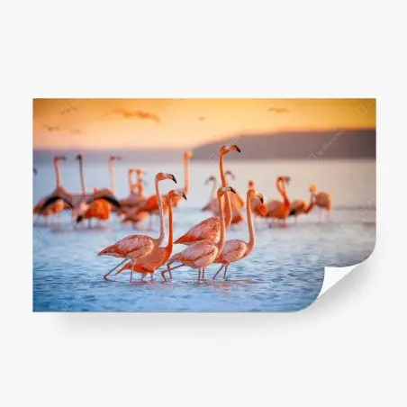 Fotomural flamencos al atardecer sobre aguas tranquilas – Pixers®