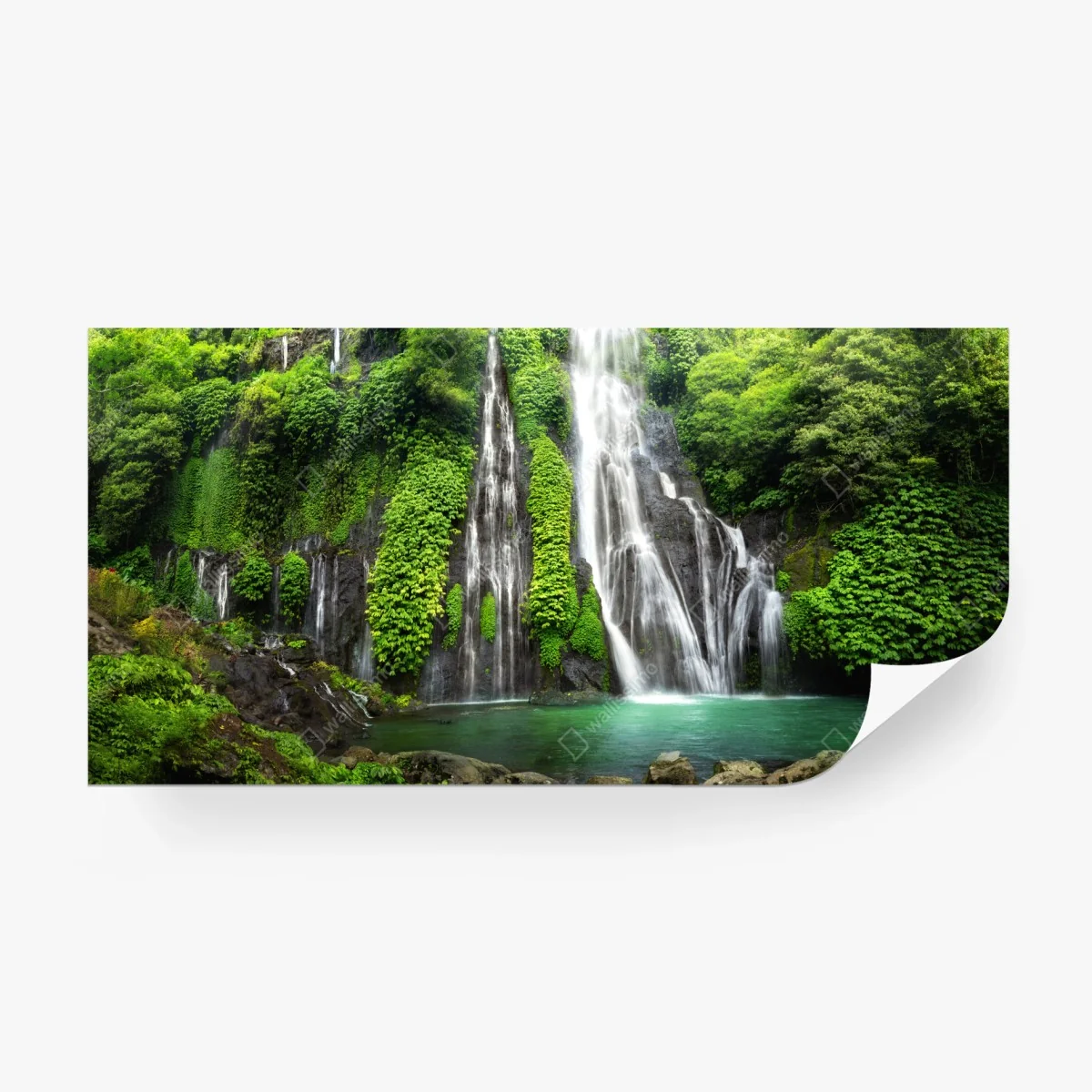 Fotomural cascada esmeralda en selva tropical – Pixers® Fotomural cascada esmeralda en selva tropical – Pixers®
