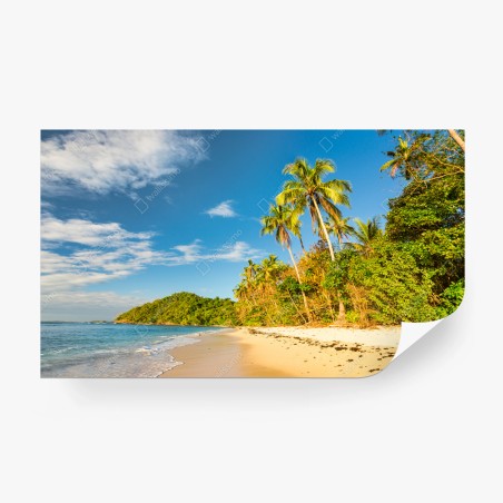 Fotomural atardecer en playa tropical con palmeras – Pixers®