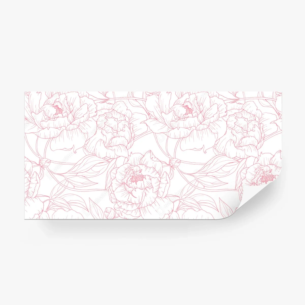 Fotomural patrón floral de peonías en líneas rosa – Pixers®