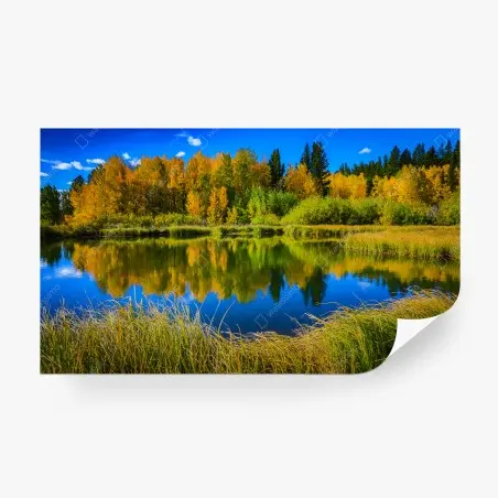 Fotomural paisaje otoñal junto al lago con reflejos – Pixers®