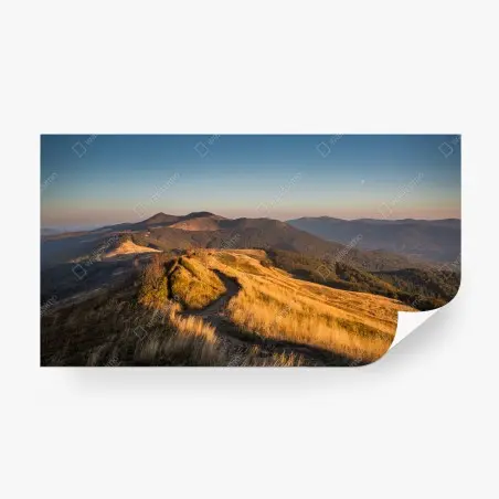 Fotomural sendero entre colinas doradas al amanecer – Pixers®