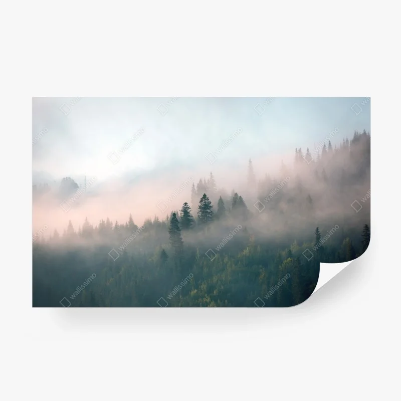 Fotomural bosque envuelto en niebla al amanecer