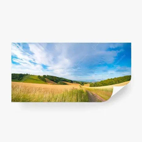 Fotomural amanecer dorado en Kansas: paisaje de trigo ondulado – Pixers®