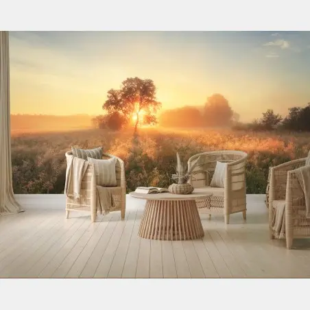 Fotomural amanecer dorado en la pradera – Pixers®