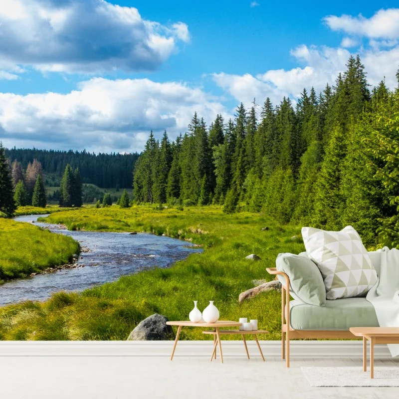 Fotomural paisaje de río y bosque en verano